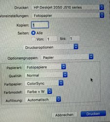 Screenshot Druckmenü.jpg