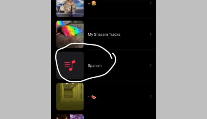 Apple Music: Fremde Playlists in Nutzerbibliotheken